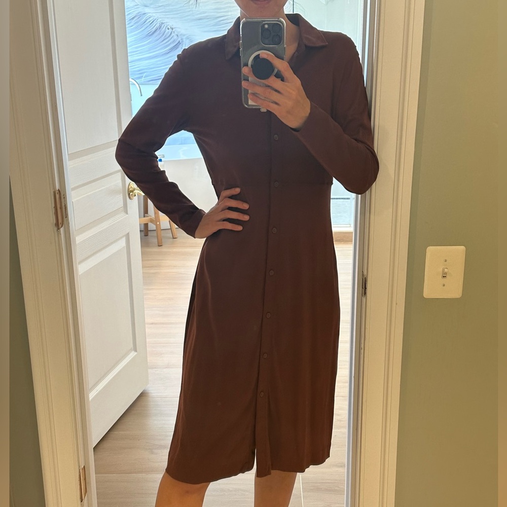 Everlane Rich Brown Long Sleeve Dress